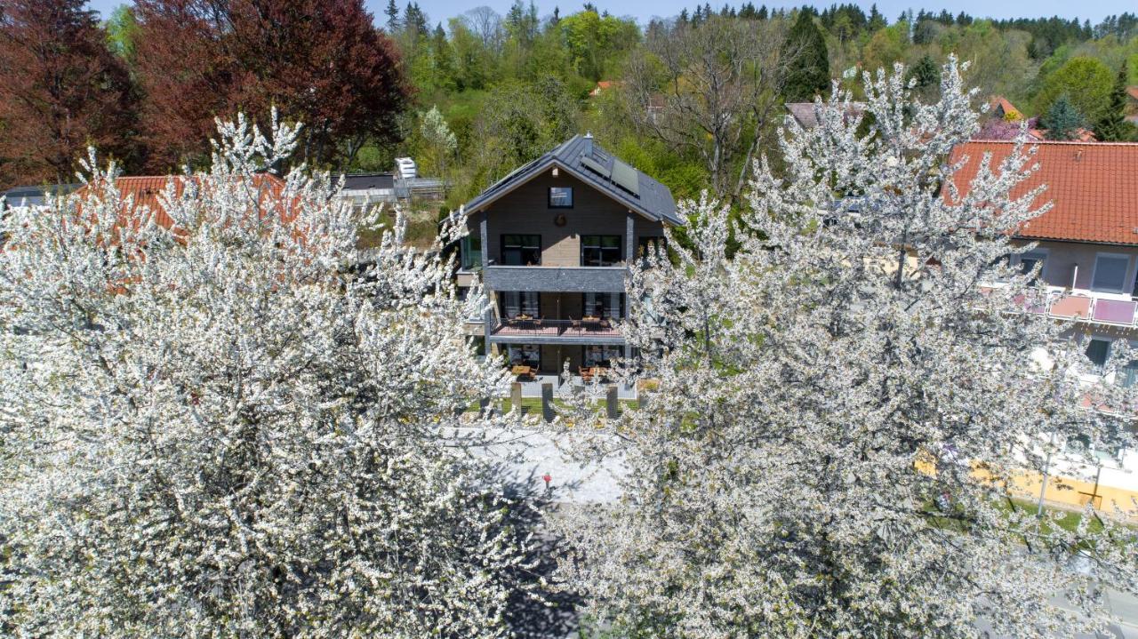 Invita Natur-Chalets Penthouse - Familienurlaub Im Schwarzwald - 240Qm Бад-Дюрхайм Экстерьер фото